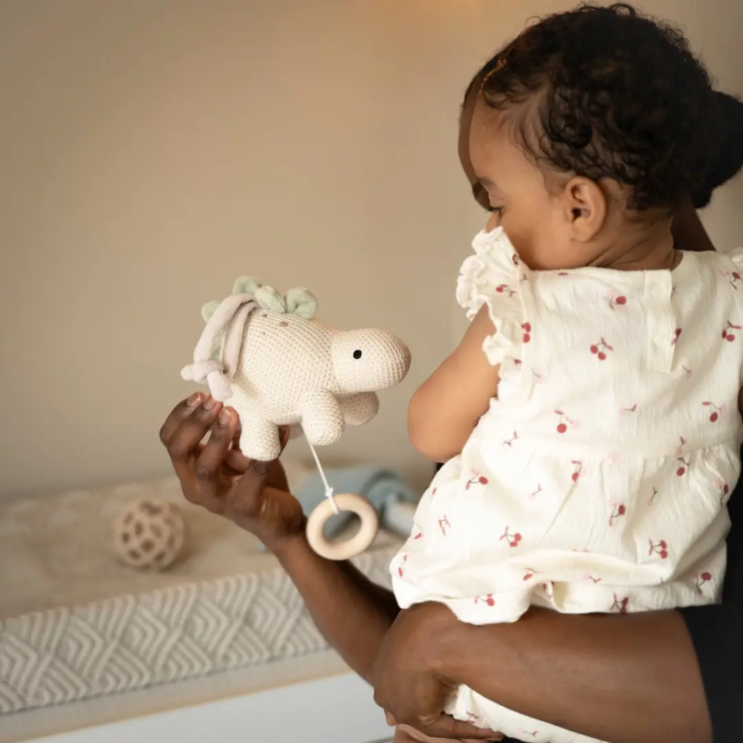 Baby's Only Muziekdoos Dino Animals - Laurel Green/Warm Linen