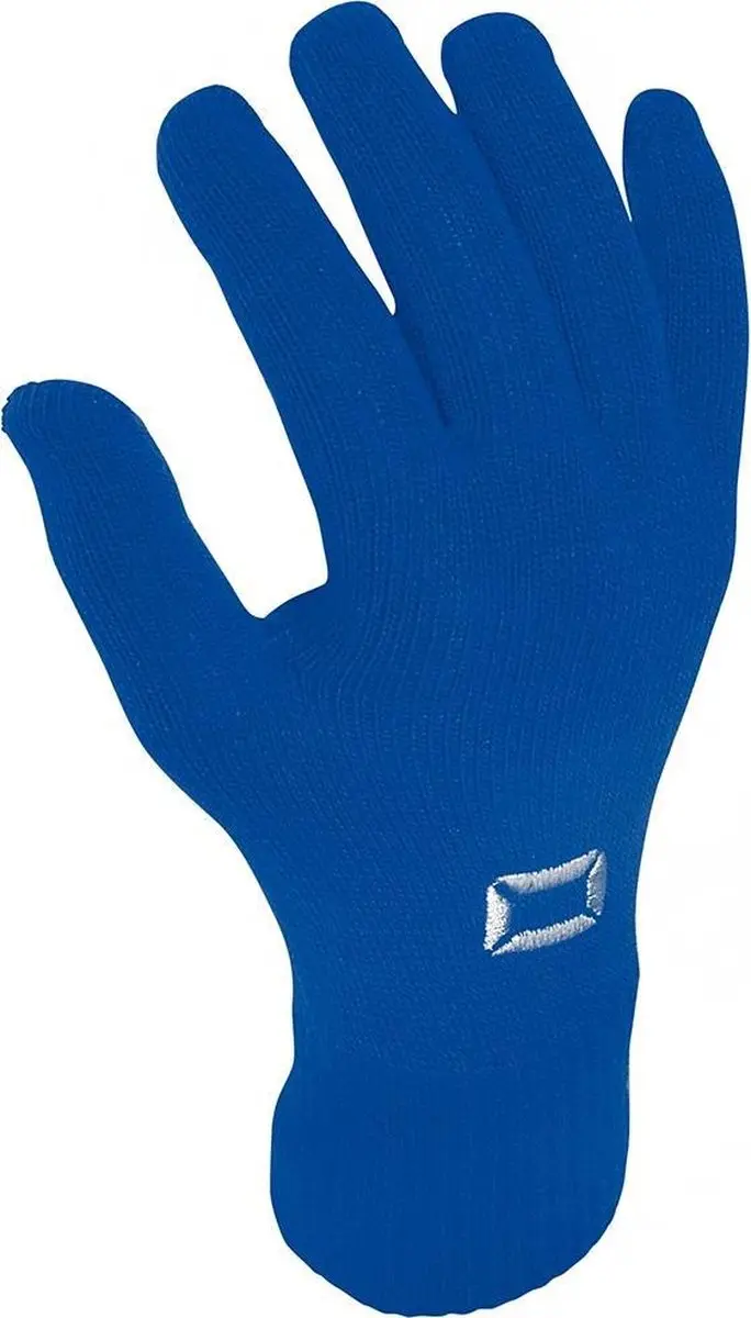 Stanno Stadium Handschoen - Maat L - Blauw