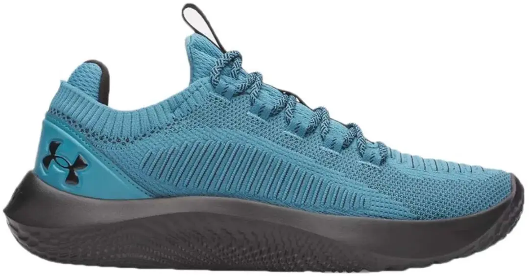 Under Armour Dynamic 2 Schoenen