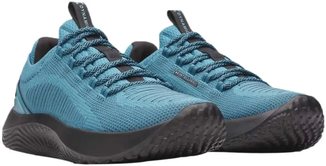 Under Armour Dynamic 2 Schoenen - Blauw 43