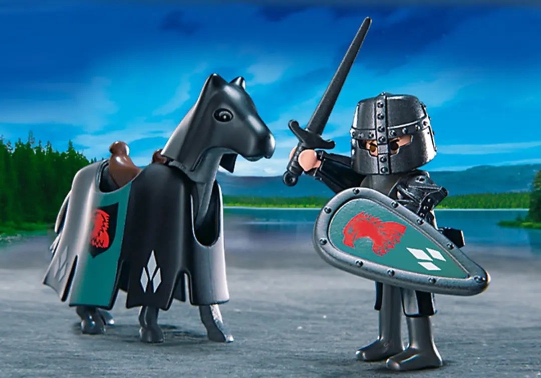 Playmobil Valkenridders 4873 - Meerkleurig