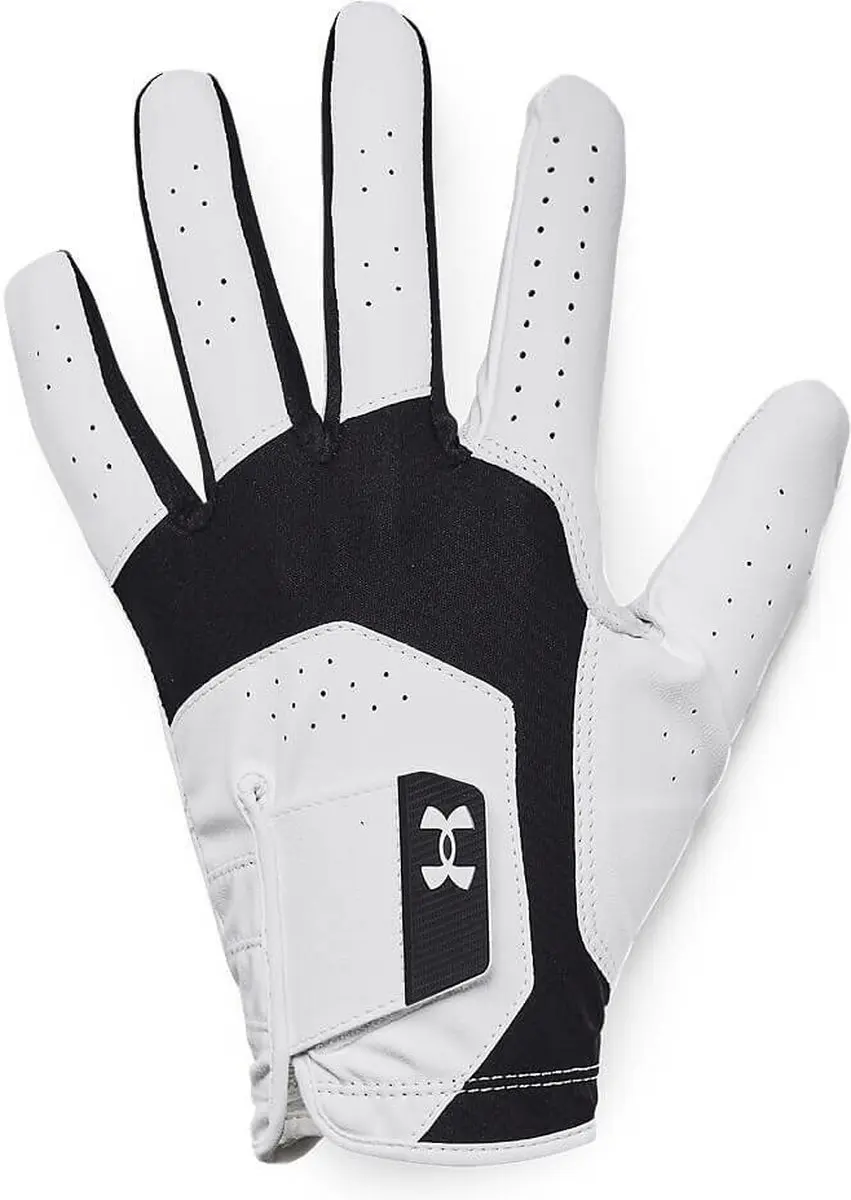 Under Armour Heren Golfhandschoen Iso Chill