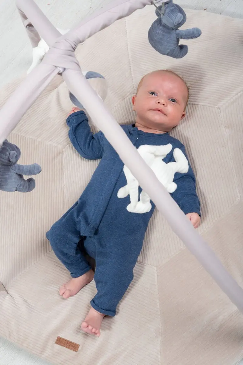 Baby's Only Speelkleed Sense Vintage Blue/Kiezelgrijs/Wit 94x83cm