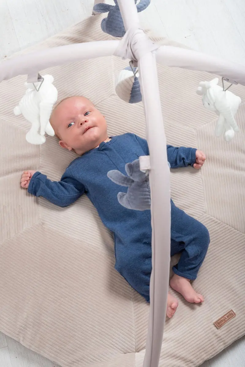 Baby's Only Speelkleed Sense Vintage Blue/Kiezelgrijs/Wit 94x83cm