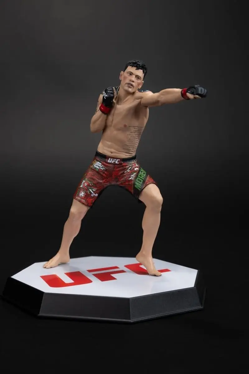 McFarlane Toys UFC Brandon Moreno Beeld 16cm - Multi