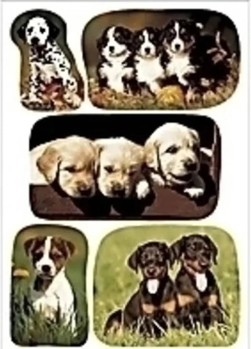 Herma Honden Etiketten - 10 Stuks