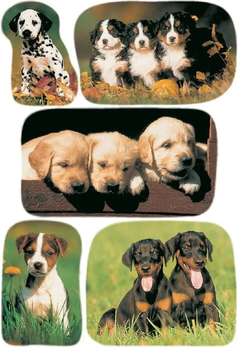 Herma Honden Etiketten