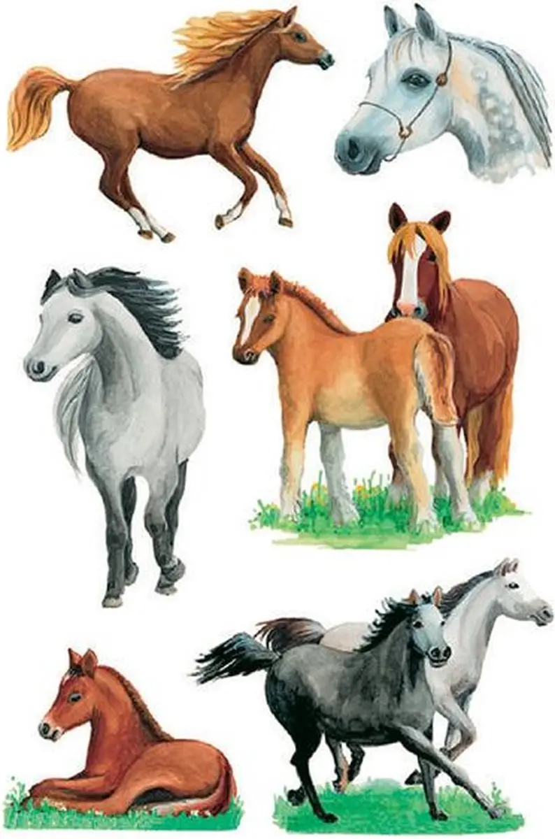 Herma Paardenrassen Etiketten