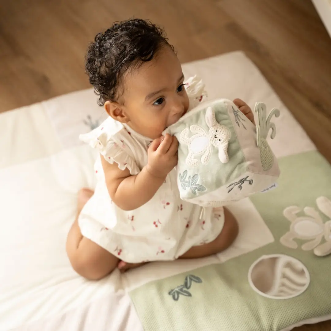Baby's Only Activiteitenkubus Animals - Laurel Green/Warm Linen