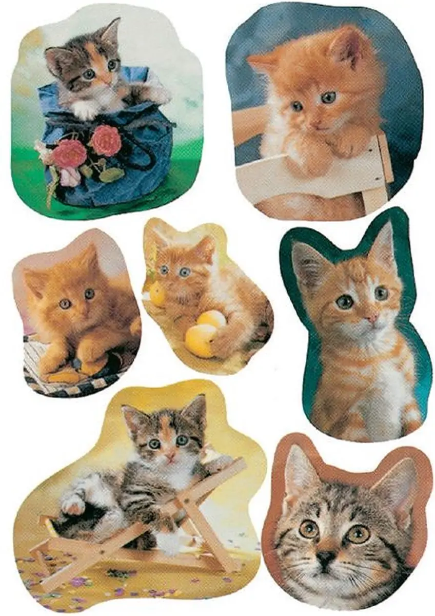 Herma Katten Etiketten