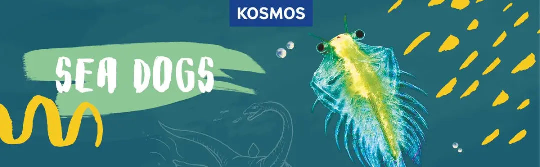 Kosmos Sea Dogs Experimenteerset 617141 - Pekelkreeftjes kweken - 2x AAA