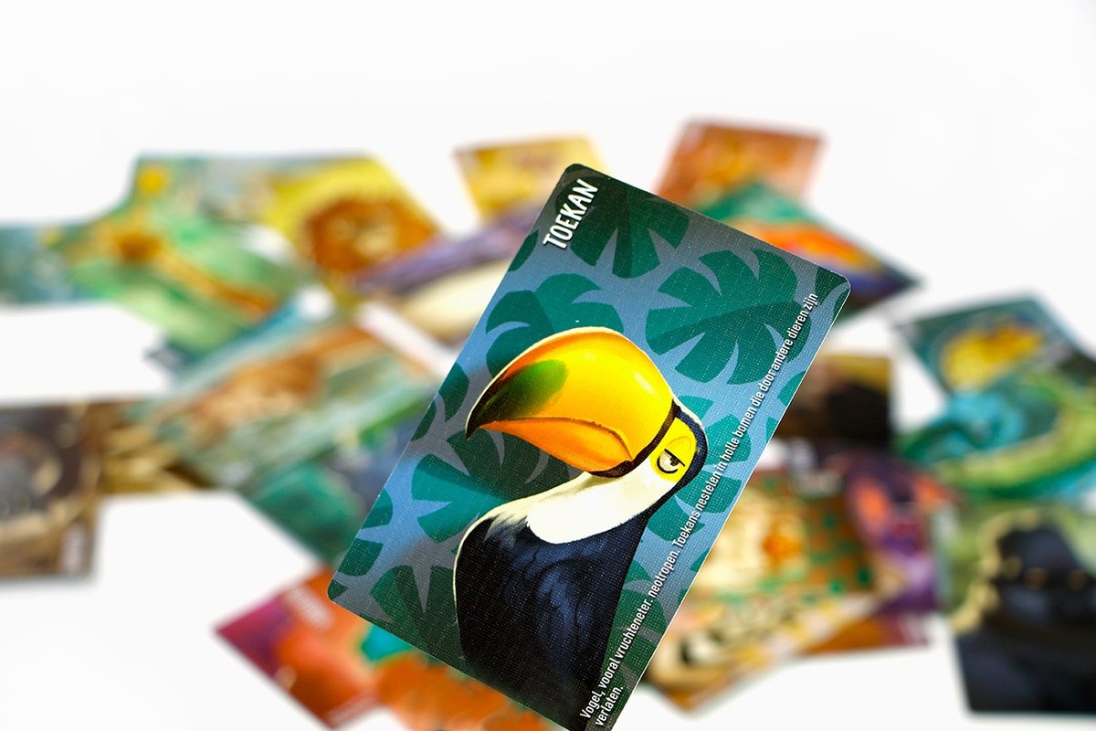 999 Games - Similo: Wilde Dieren - Kaartspel - Coöperatief kaartspel - Klein cadeautje