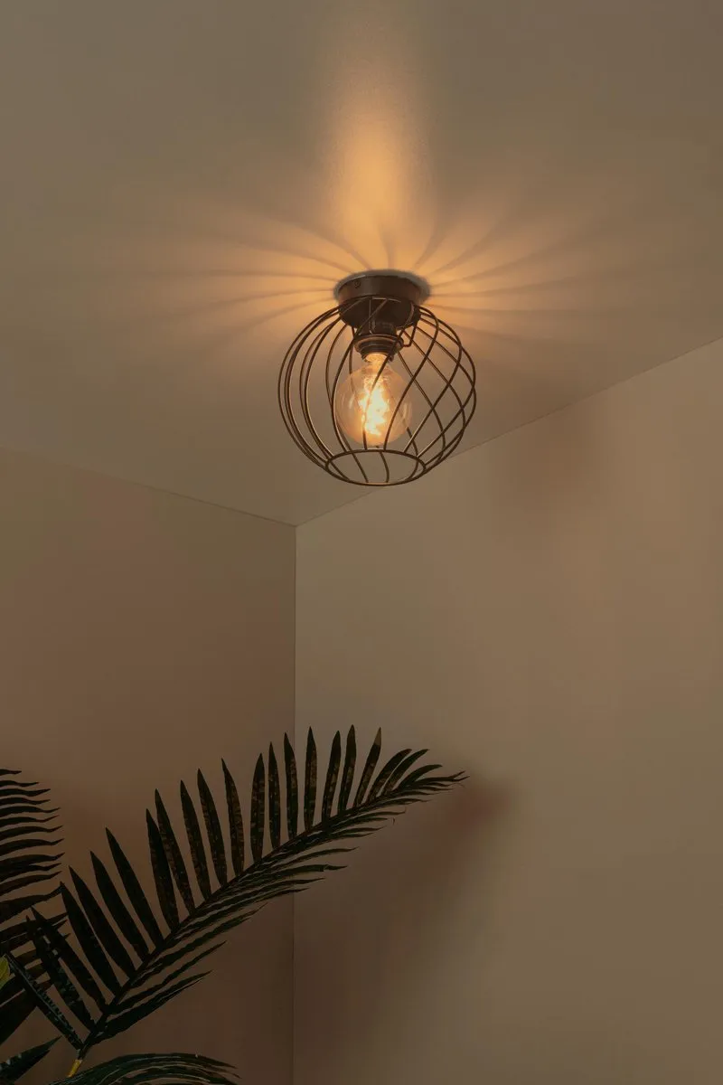 Lucide Danza Plafondlamp Ø25cm - 1xE27 - Zwart