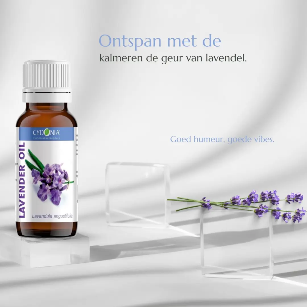Cydonia Lavendel Etherische Olie 10ml - Biologisch