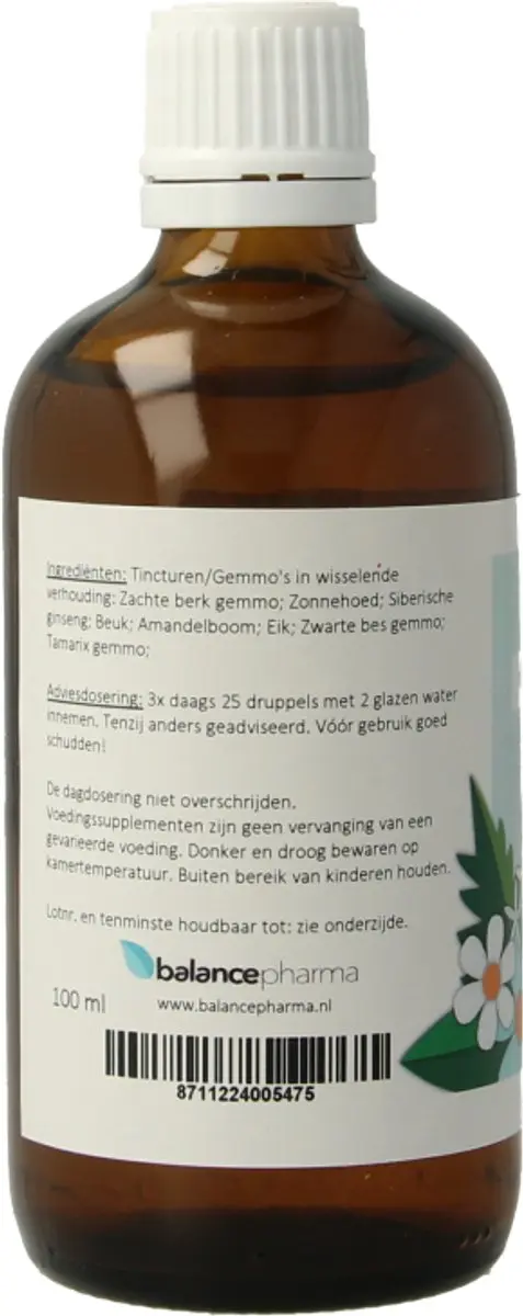 Balance Pharma Gemmoplex HGP021 Herstelset 100ml