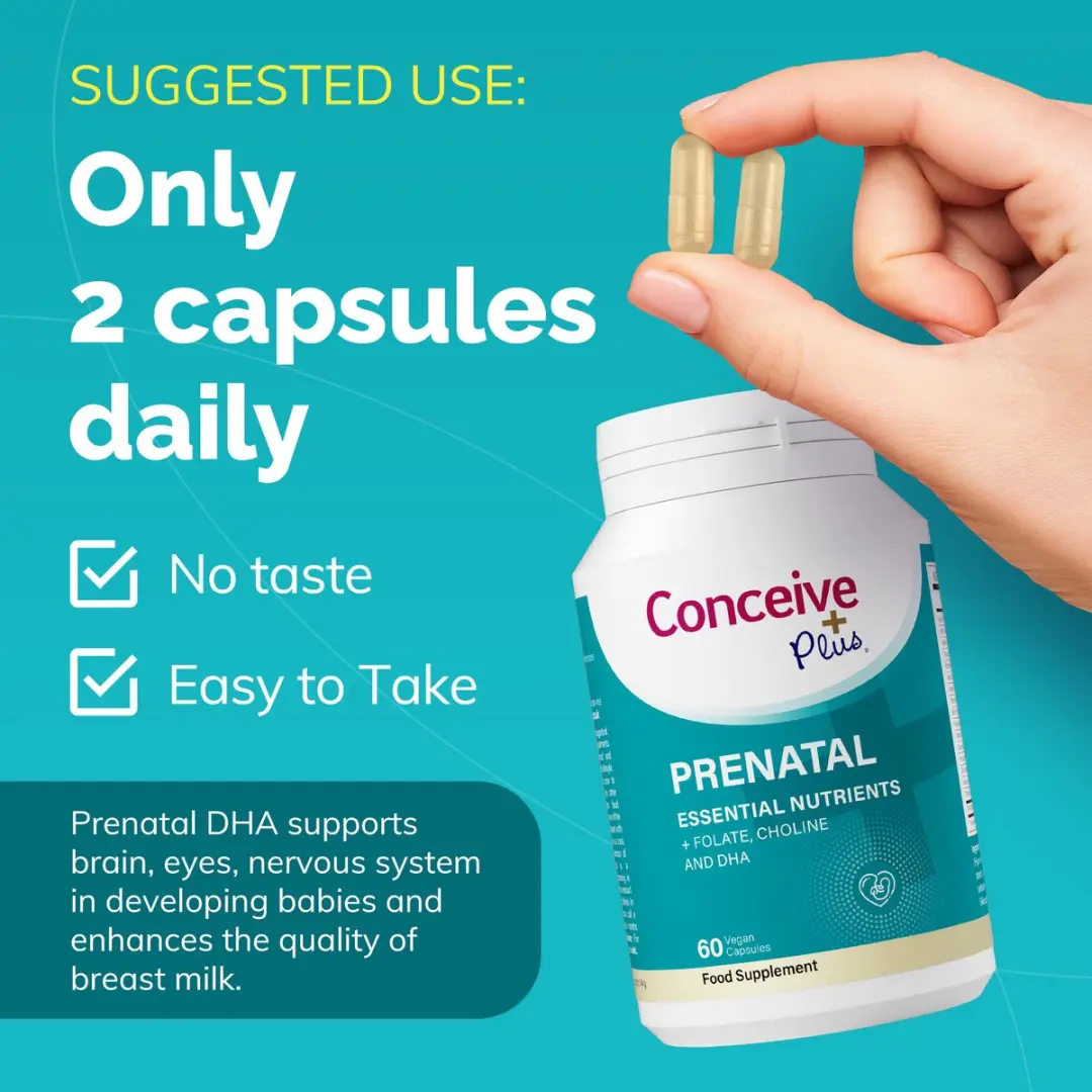 Conceive Plus Prenatale Vitaminen 60 Stuks - Foliumzuur, Choline & DHA
