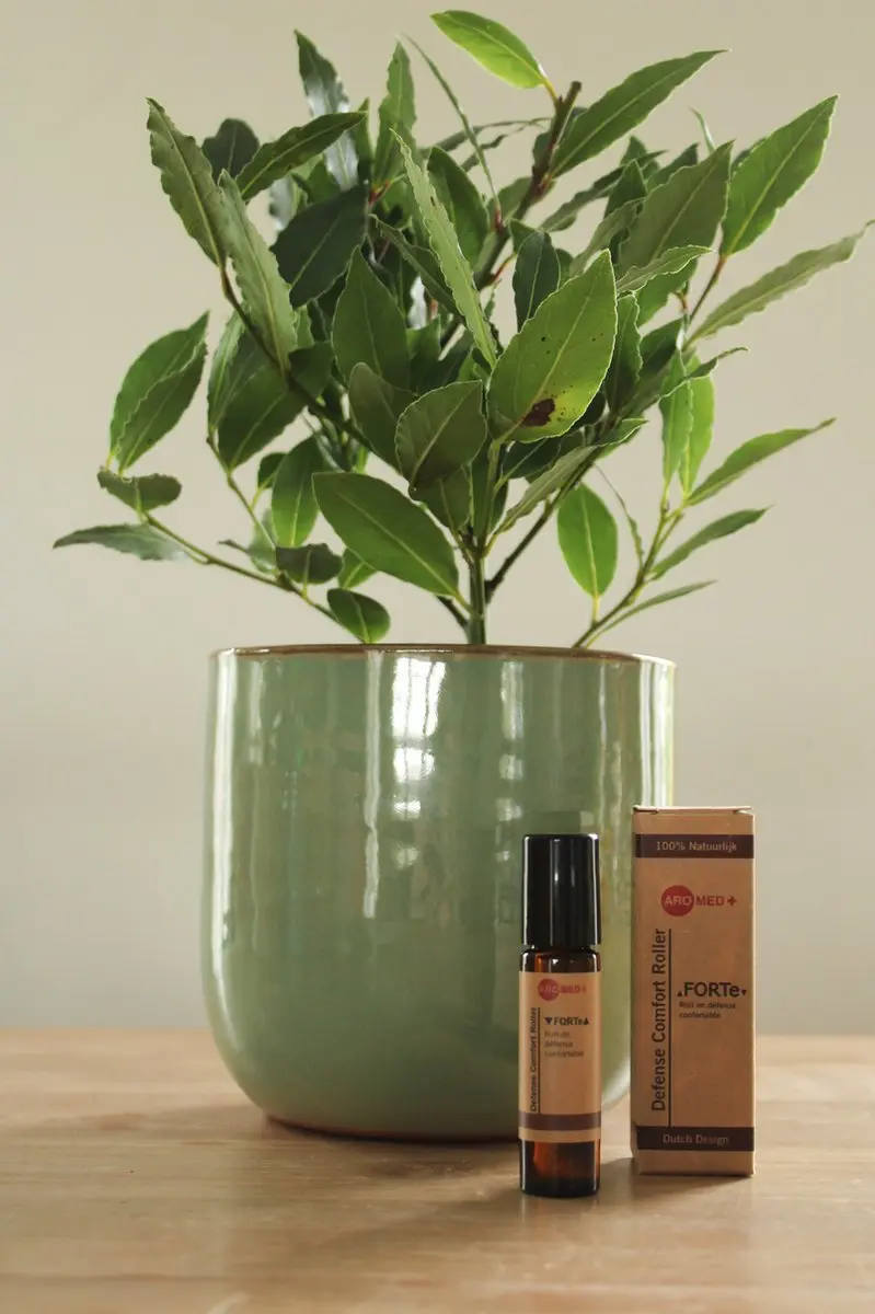 Aromed Forte Defense Roller 10ml