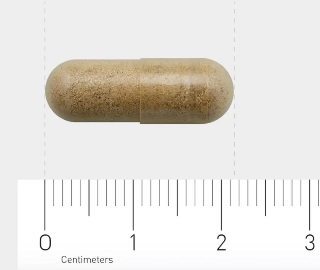 AOV Ginkgo biloba Voedingssupplement 60 Vegacaps