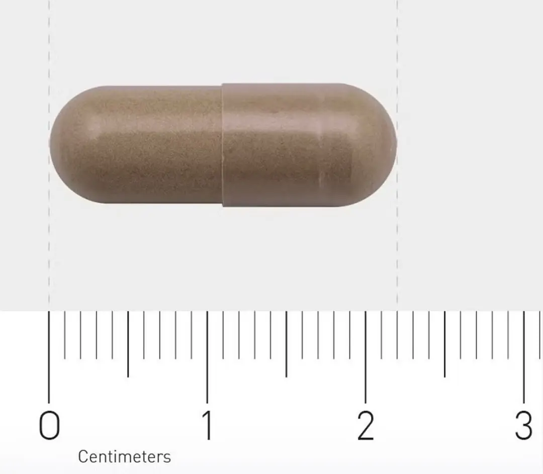 AOV Paddenstoelencomplex 60 Capsules