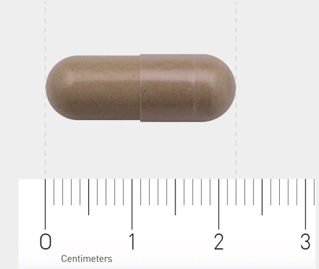 AOV Paddenstoelencomplex 60 Capsules