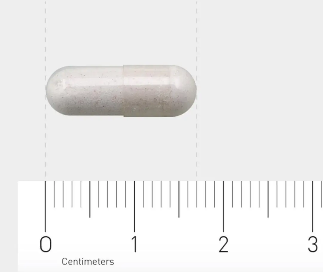 AOV Vitamine B12 & Foliumzuur 60 Vegacaps