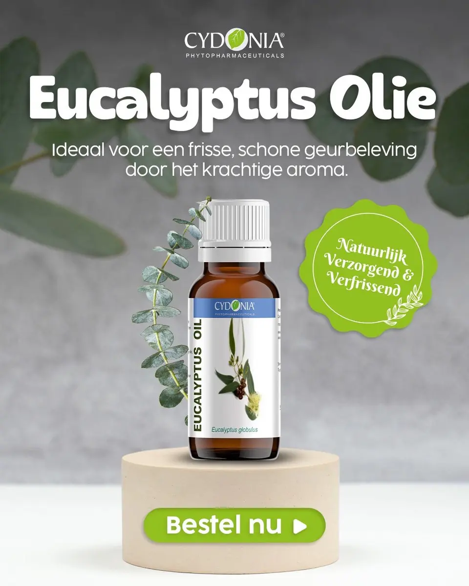 Cydonia Eucalyptus Etherische Olie 10ml