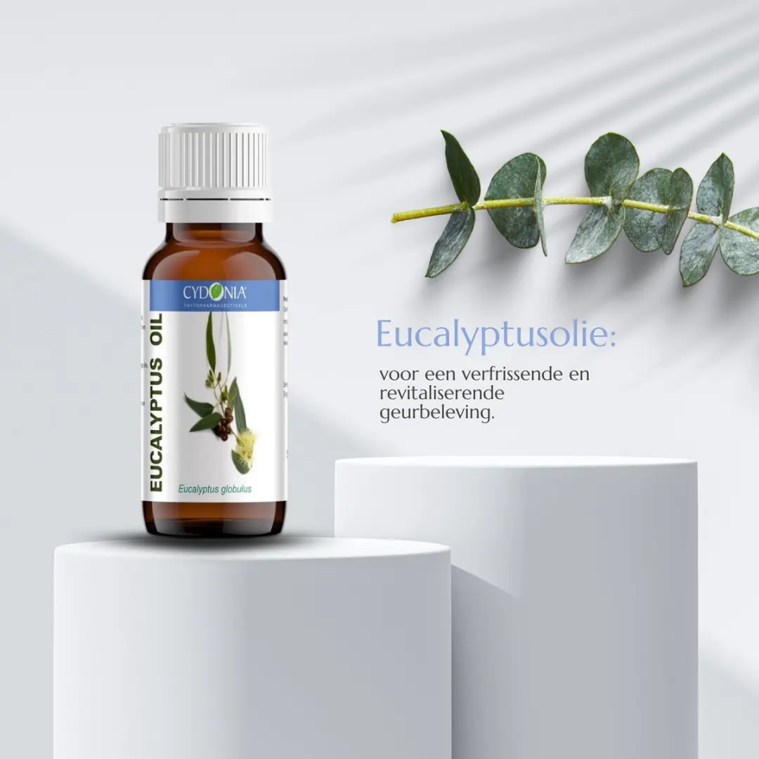 Cydonia Eucalyptus Etherische Olie 10ml