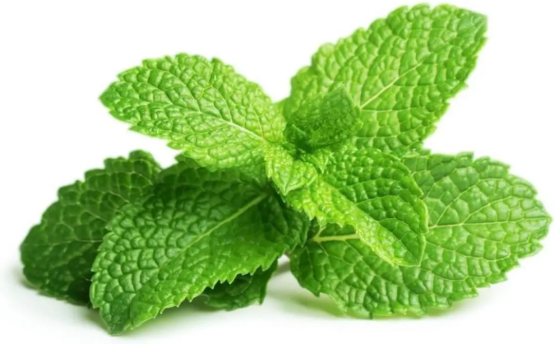 Aromed Pepermuntolie 10ml