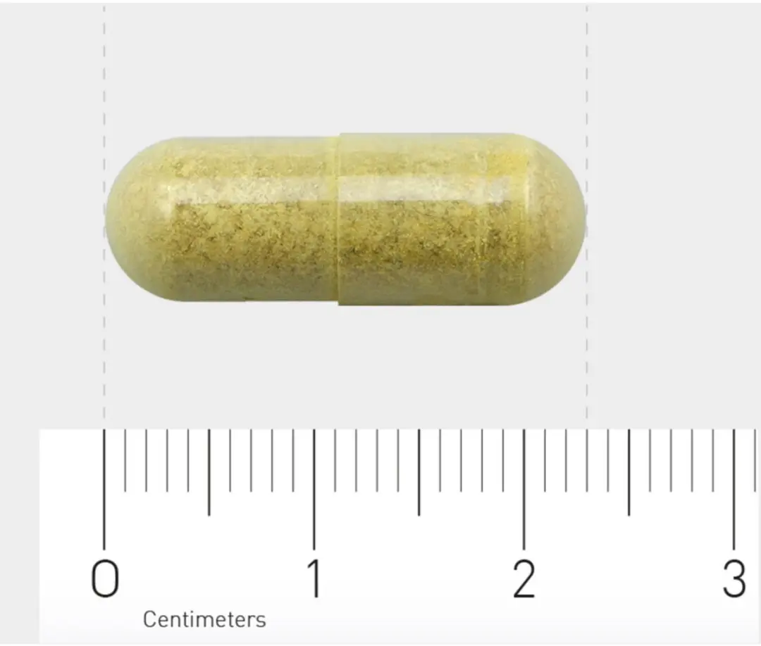 AOV Quercetine-extract 500mg - 120 Vegacapsules