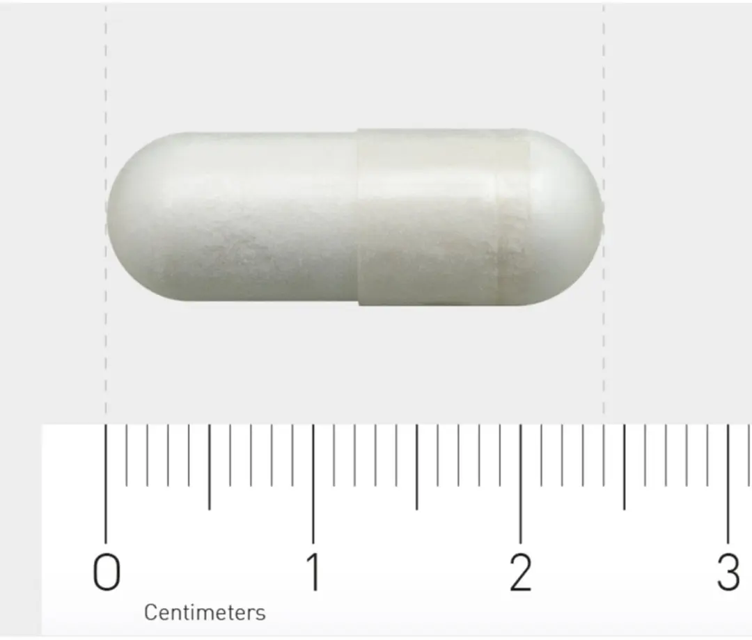 AOV L-Glutamine 500mg - 180 Vegacapsules