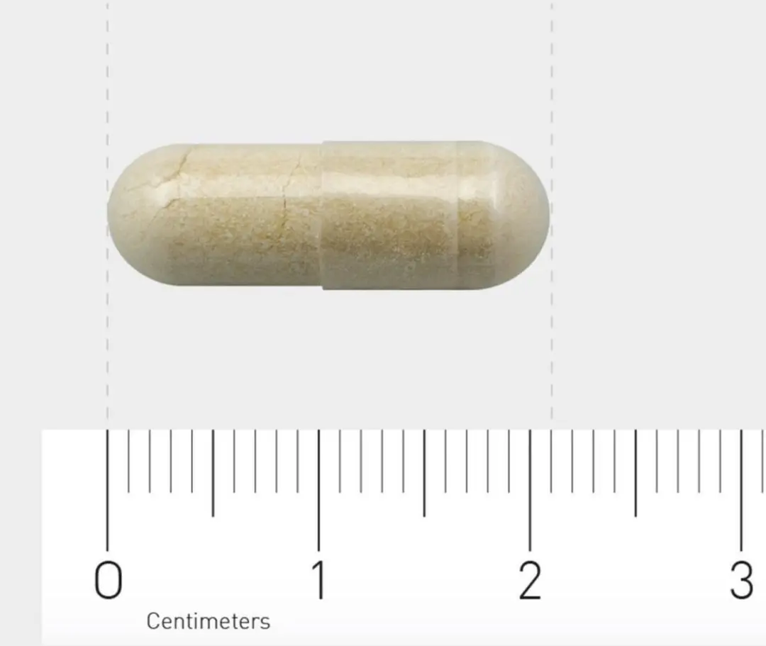 AOV Vitex Agnus Castus Voedingssupplement 60 Vegacaps