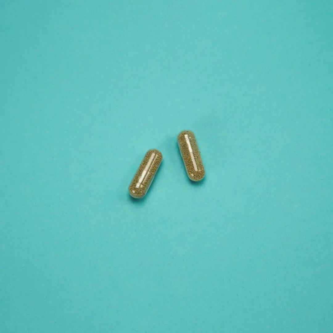 Arkopharma Biergist Bio Capsules 150 Stuks