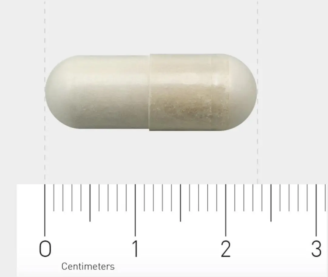 AOV Boswellia Voedingssupplement 60 Vegacaps