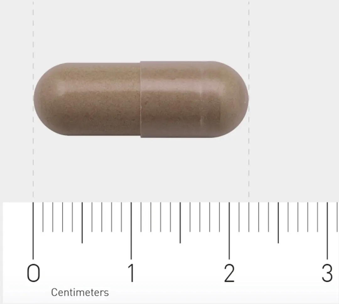 AOV 836 Top Complex 90 Vegetarische Capsules