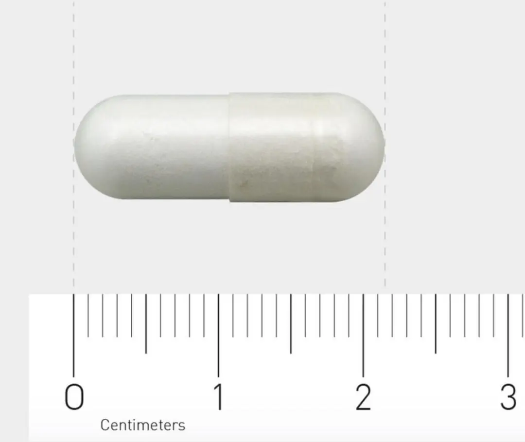 AOV 604 L-Carnosine Voedingssupplement 60 Vegacaps