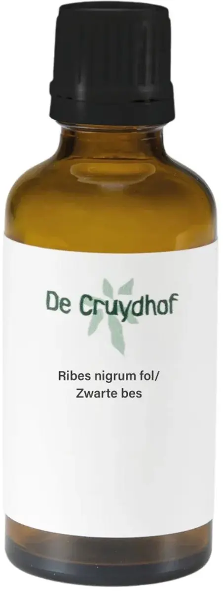 Cruydhof Zwarte Bes 50ml