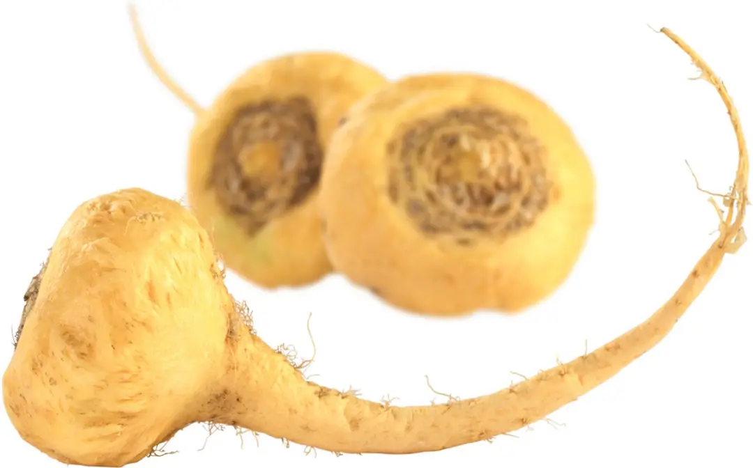 Arkopharma Maca Bio Capsules 40 Stuks