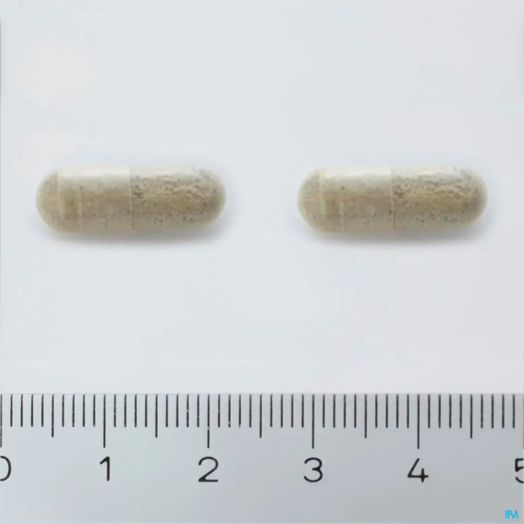Arkopharma Arkocaps Bacopa 45 - 23ml