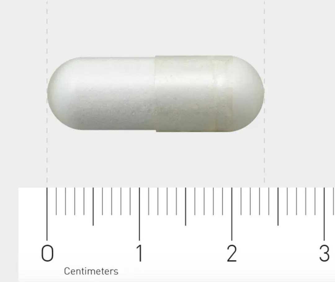 AOV 606 Acetyl-L-Carnitine 90 Vegacaps