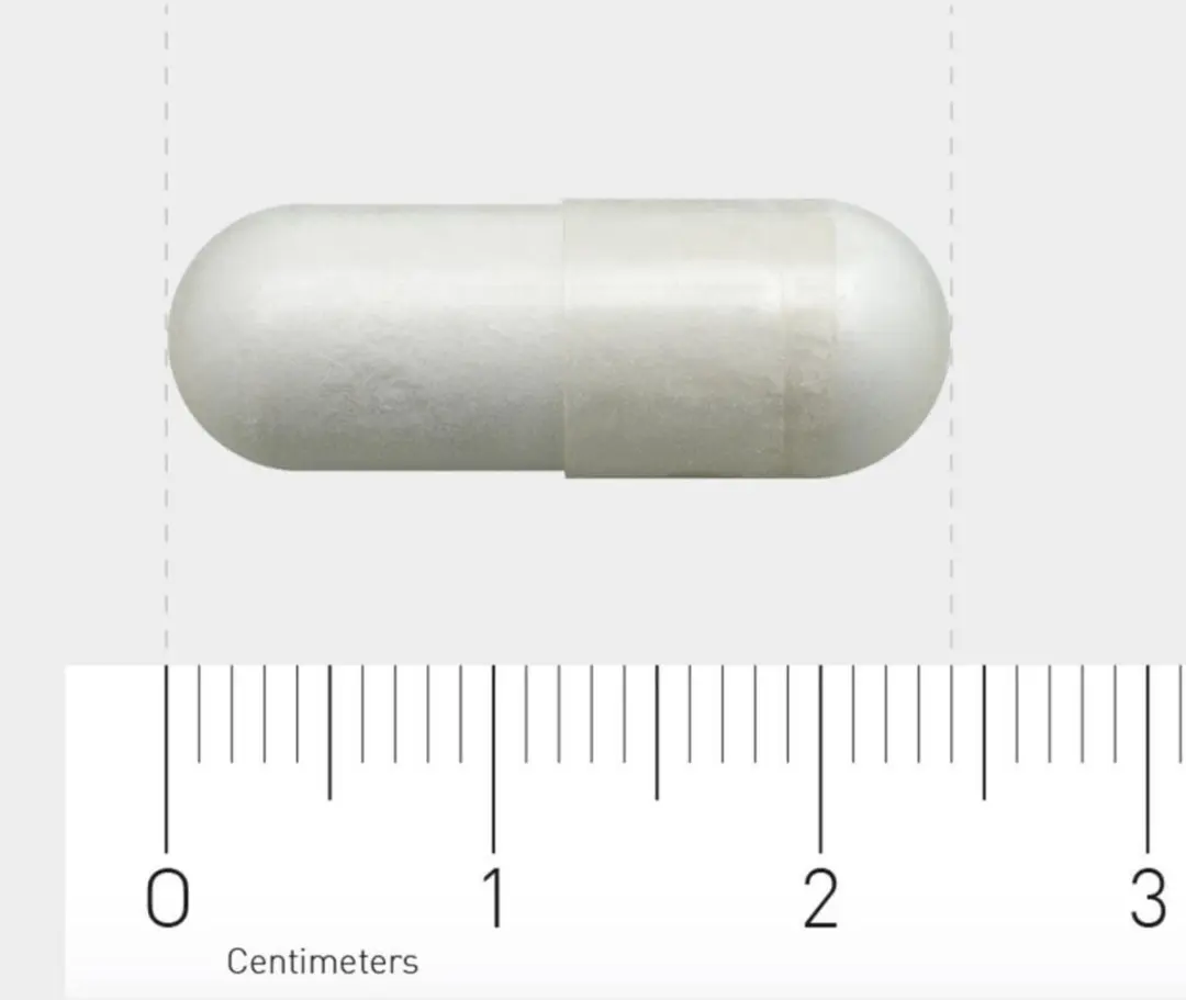 AOV L-Glutamine 60 Vegacaps