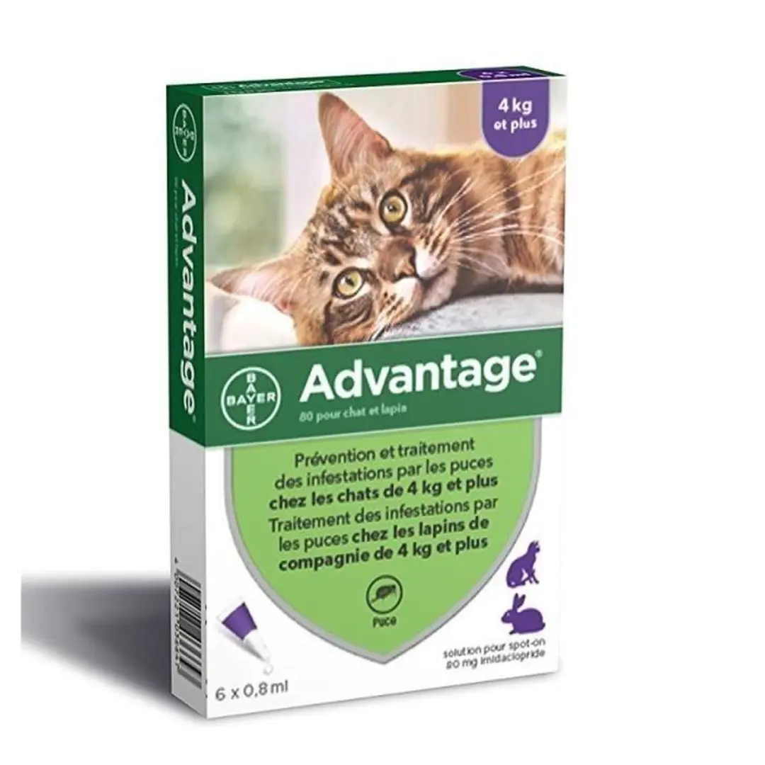 Advantage 80 Vlooienmiddel Kat 6 Pipetten
