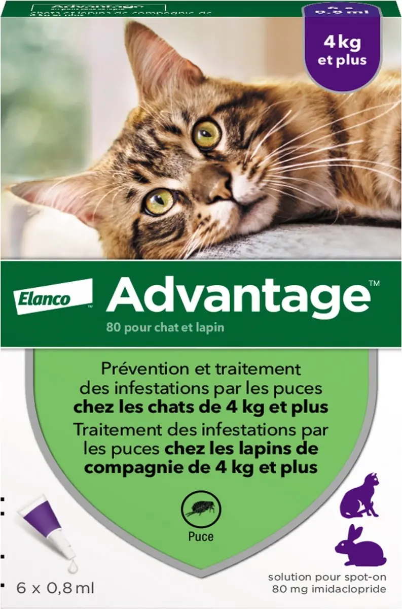 Advantage 80 Vlooienmiddel Kat 6 Pipetten
