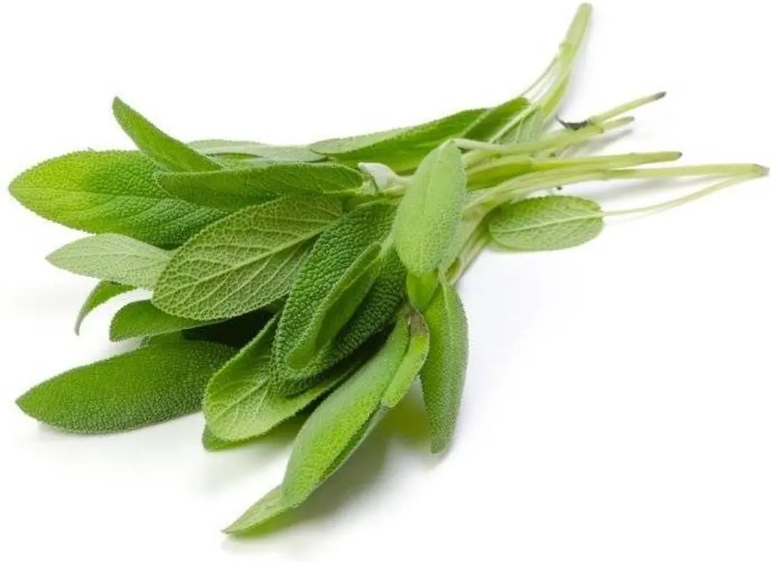 Aromed Salie Olie 10ml