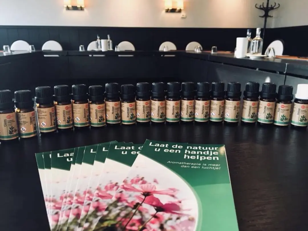 Aromed Zen Meditatieolie 10ml - Biologisch