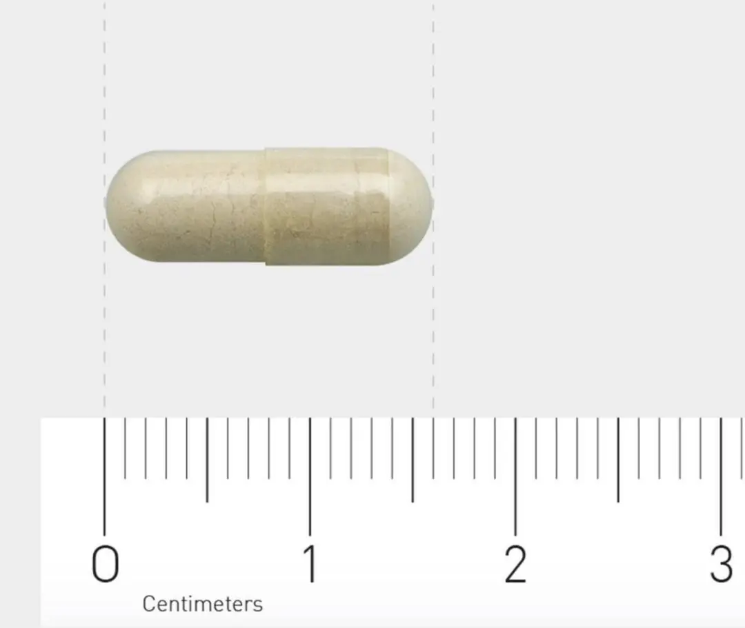 AOV Bèta-Glucaan 1,3/1,6 Voedingssupplement - 60 Vegacaps