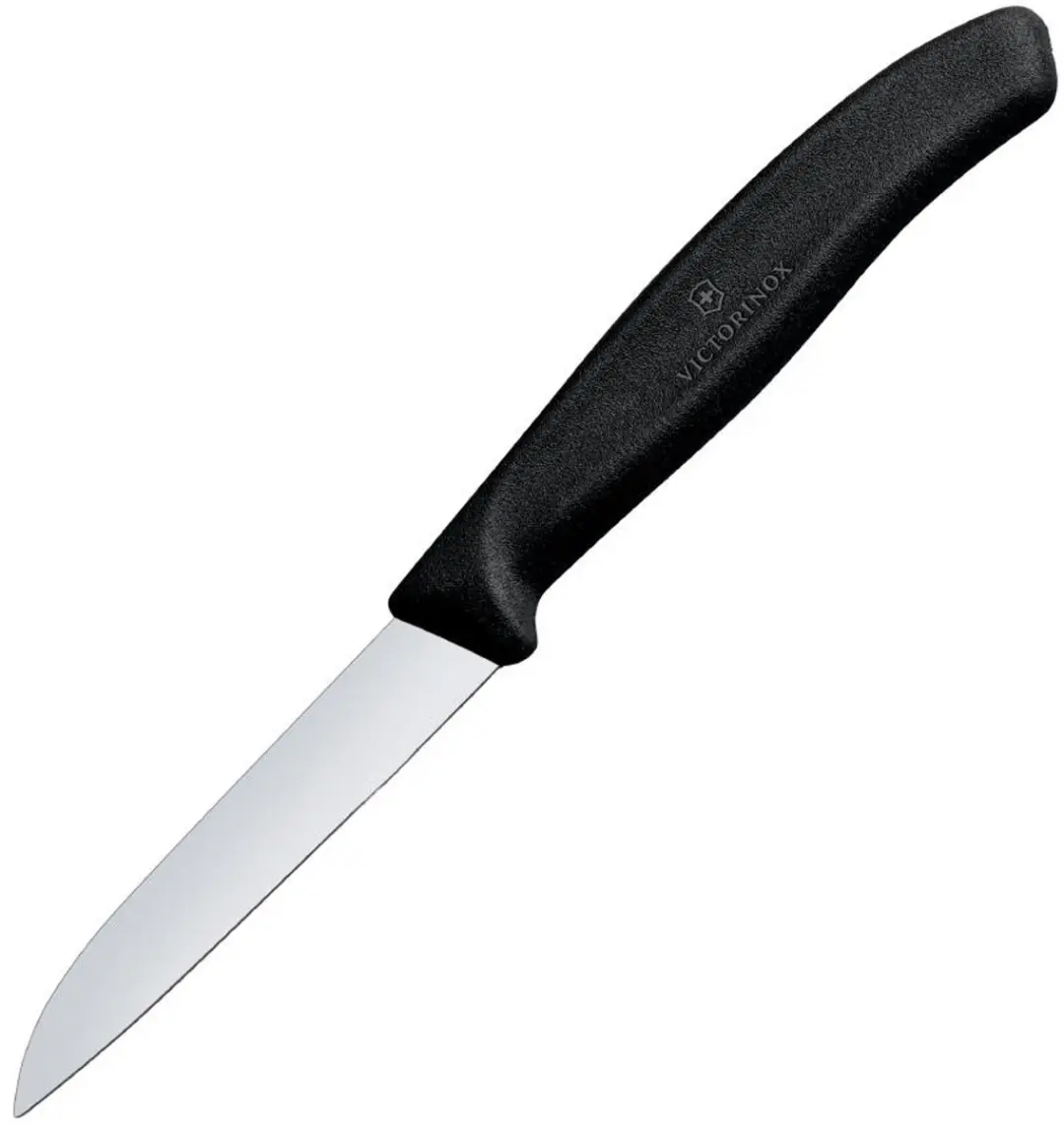 Victorinox Classic Schilmesje 19cm
