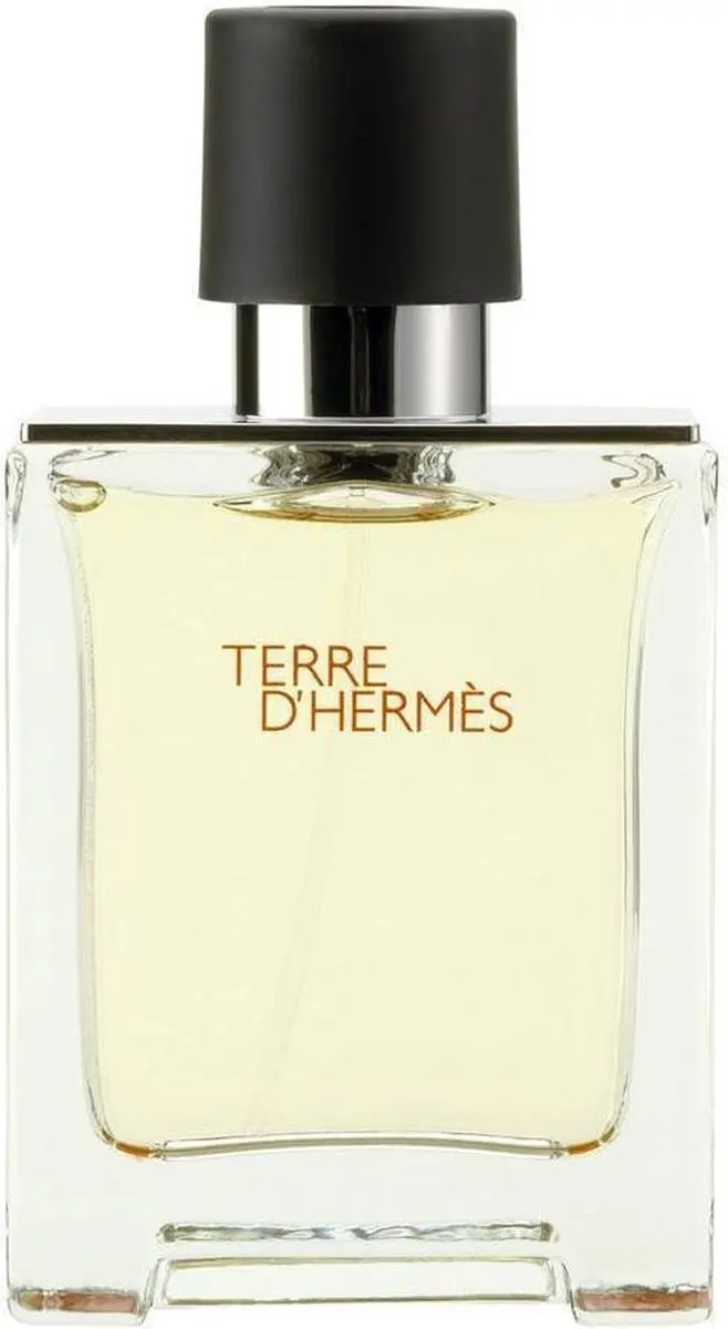 Hermès Terre d'Hermès Eau de Toilette 125ml