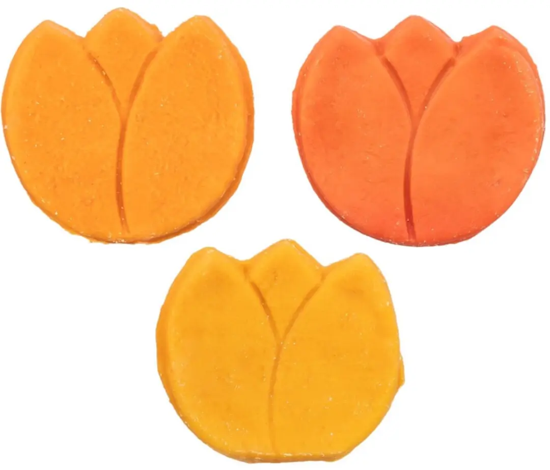 Trixie Kippenborst Hondensnack Glutenvrij Tulpenvorm 25g