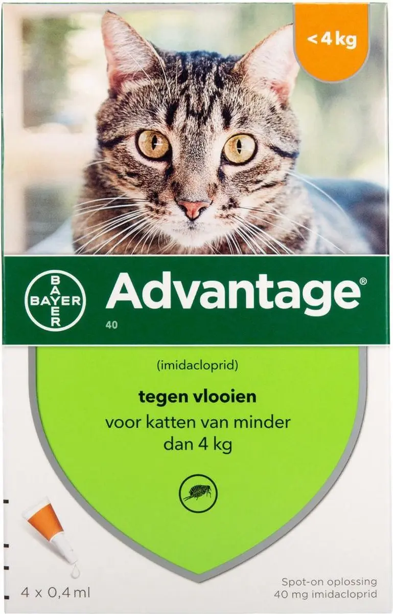 Advantage Kat Pipet 4 Stuks