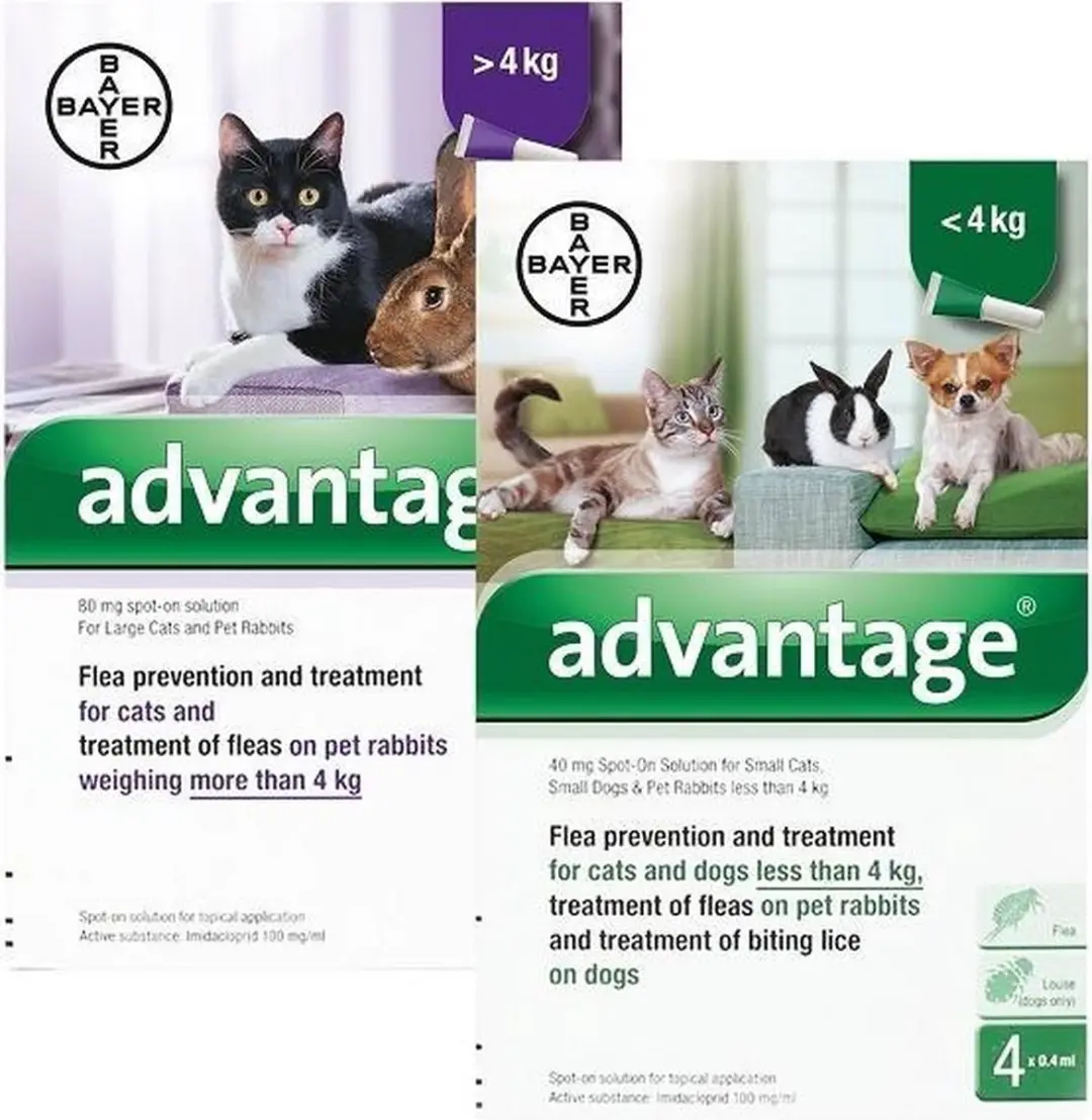 Advantage Kat Pipet 4 Stuks